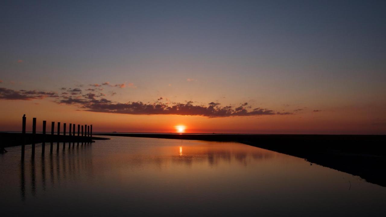 Nordsee Bauernhof Familie Wulff Fewo "Suedfall" Reussenkoge Ngoại thất bức ảnh