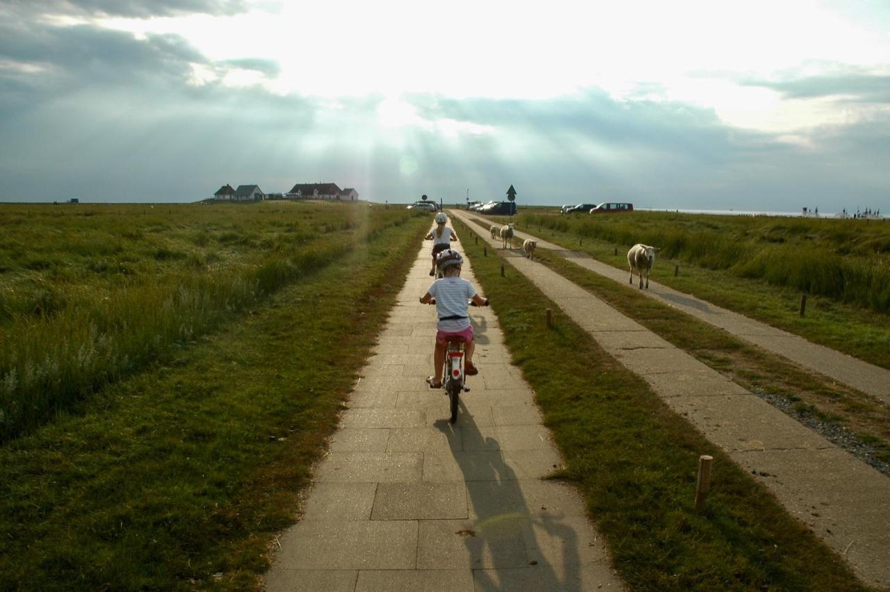 Nordsee Bauernhof Familie Wulff Fewo "Suedfall" Reussenkoge Ngoại thất bức ảnh