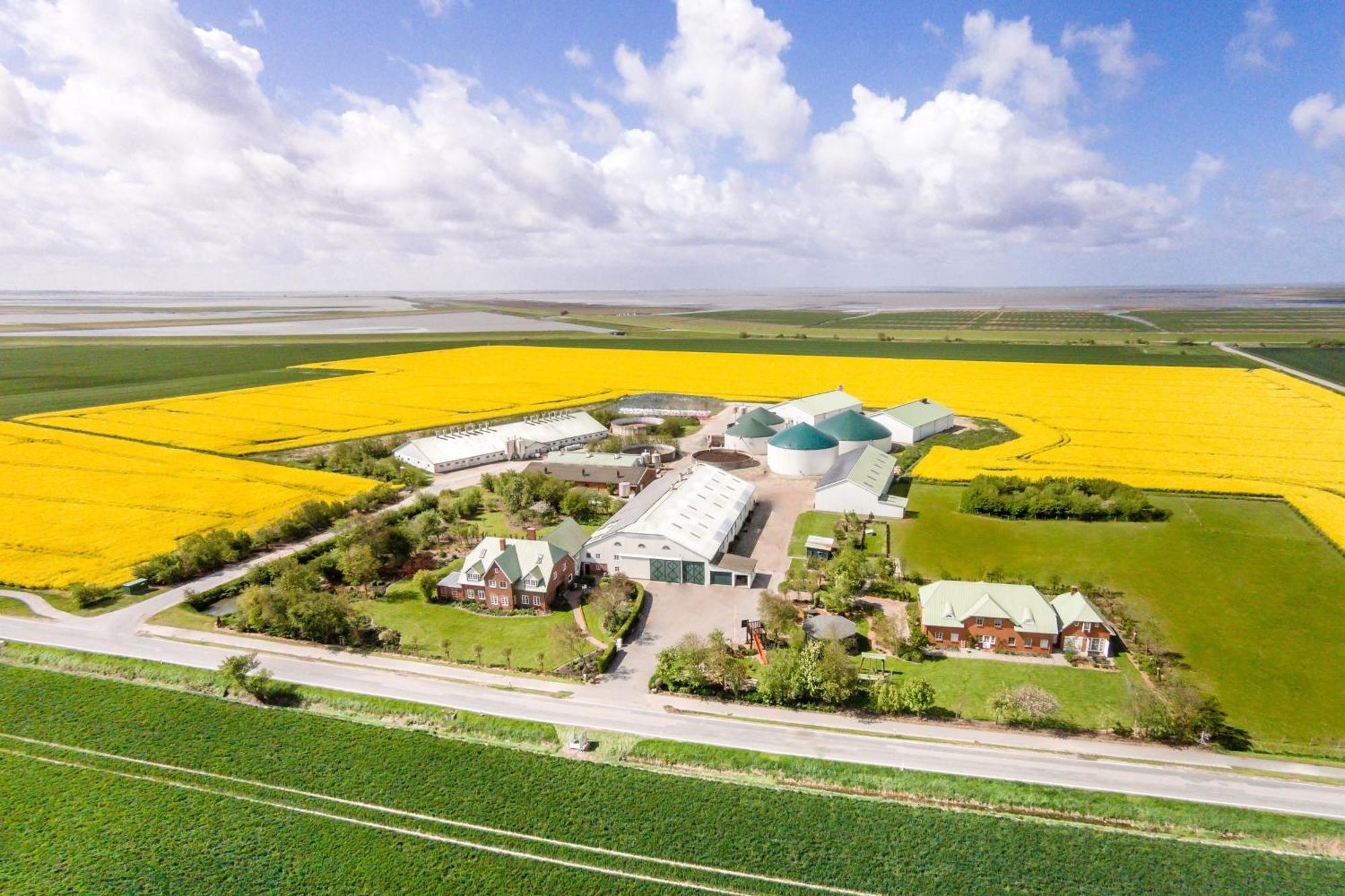 Nordsee Bauernhof Familie Wulff Fewo "Suedfall" Reussenkoge Ngoại thất bức ảnh