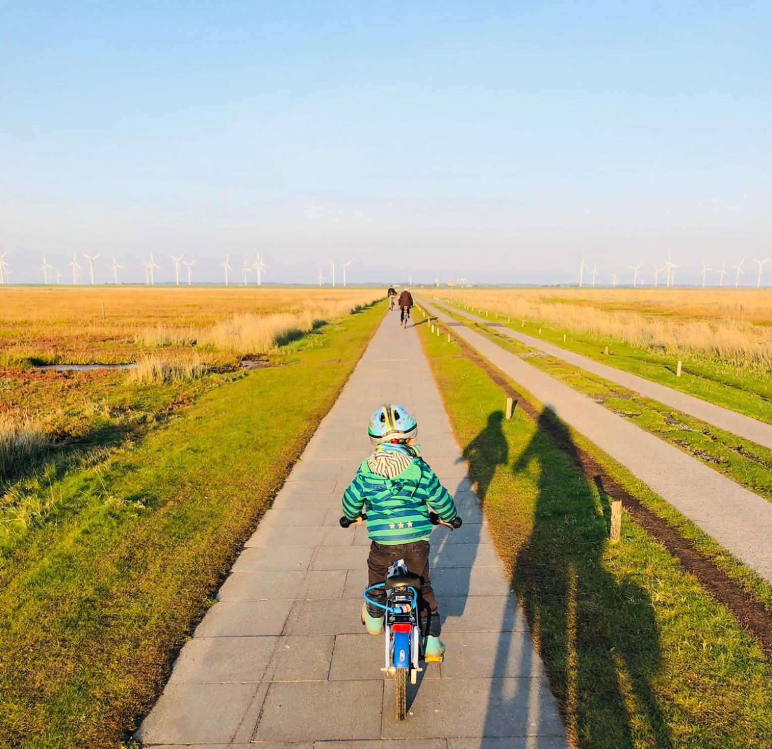 Nordsee Bauernhof Familie Wulff Fewo "Suedfall" Reussenkoge Ngoại thất bức ảnh
