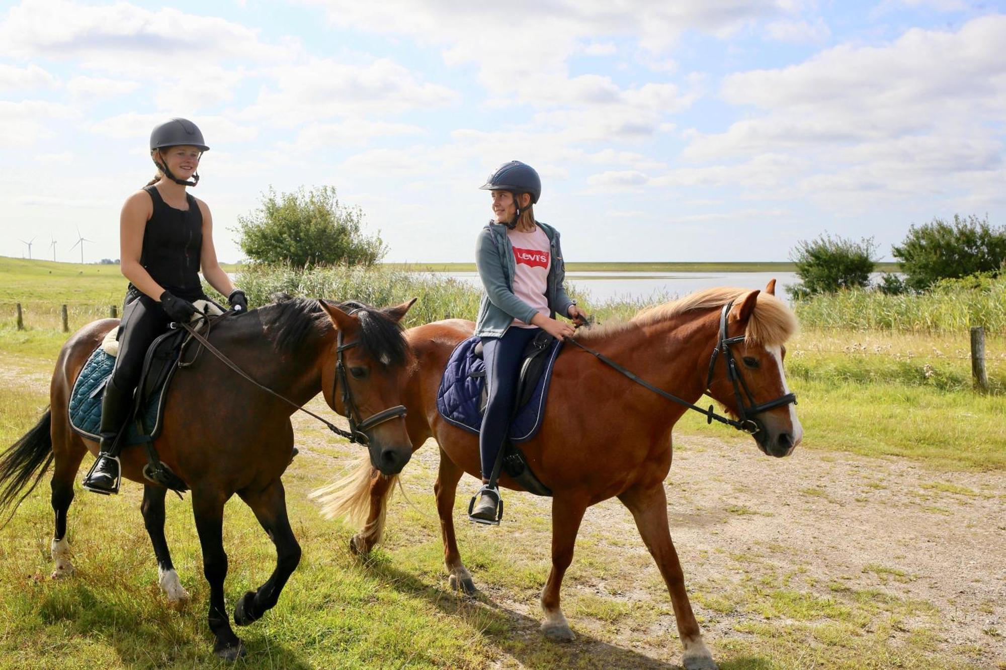 Nordsee Bauernhof Familie Wulff Fewo "Suedfall" Reussenkoge Ngoại thất bức ảnh
